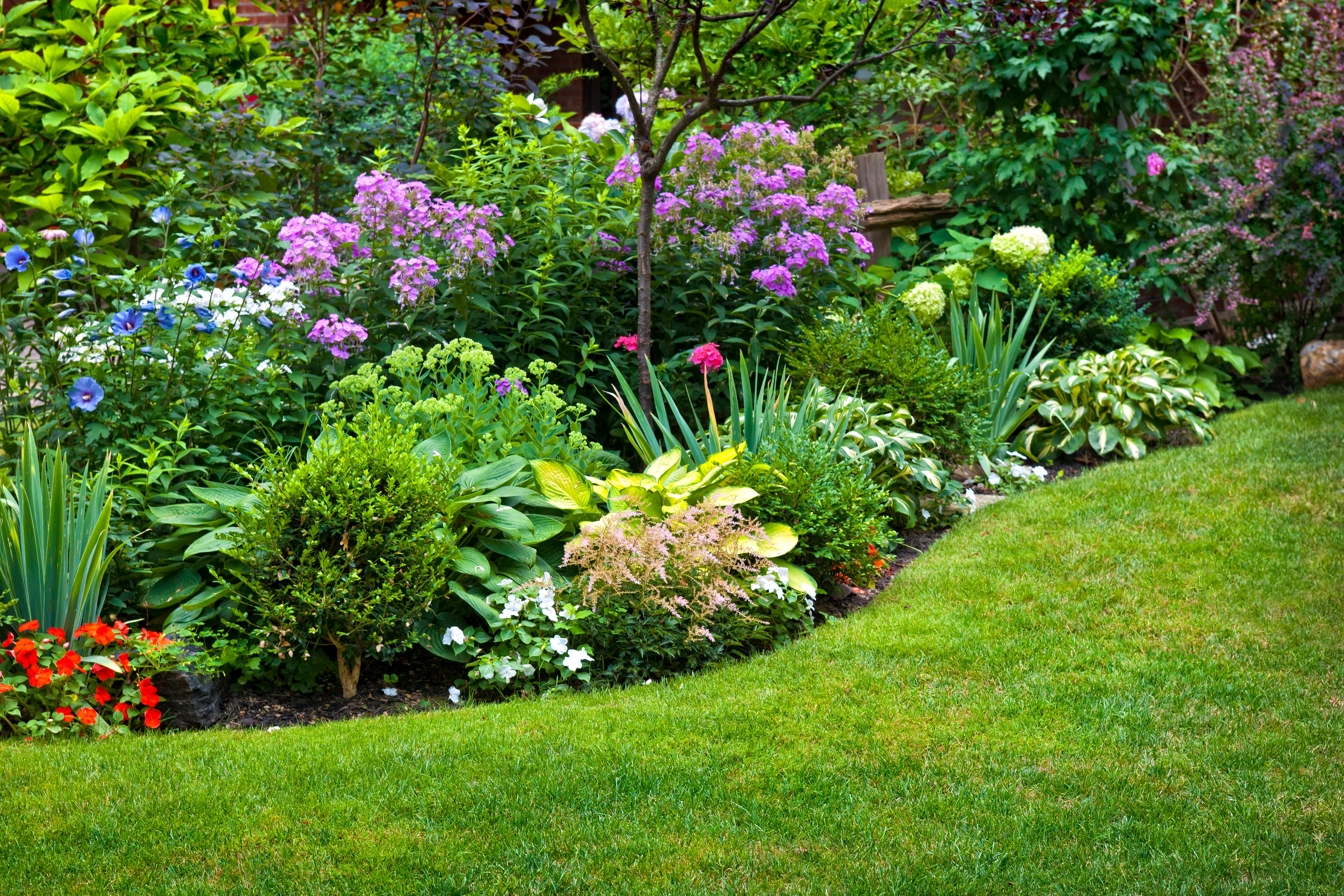Beautiful Southern garden with blooming flowers and manicured hedges